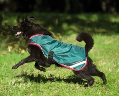 Horseware® Ireland Rambo® Waterproof Dog Blanket