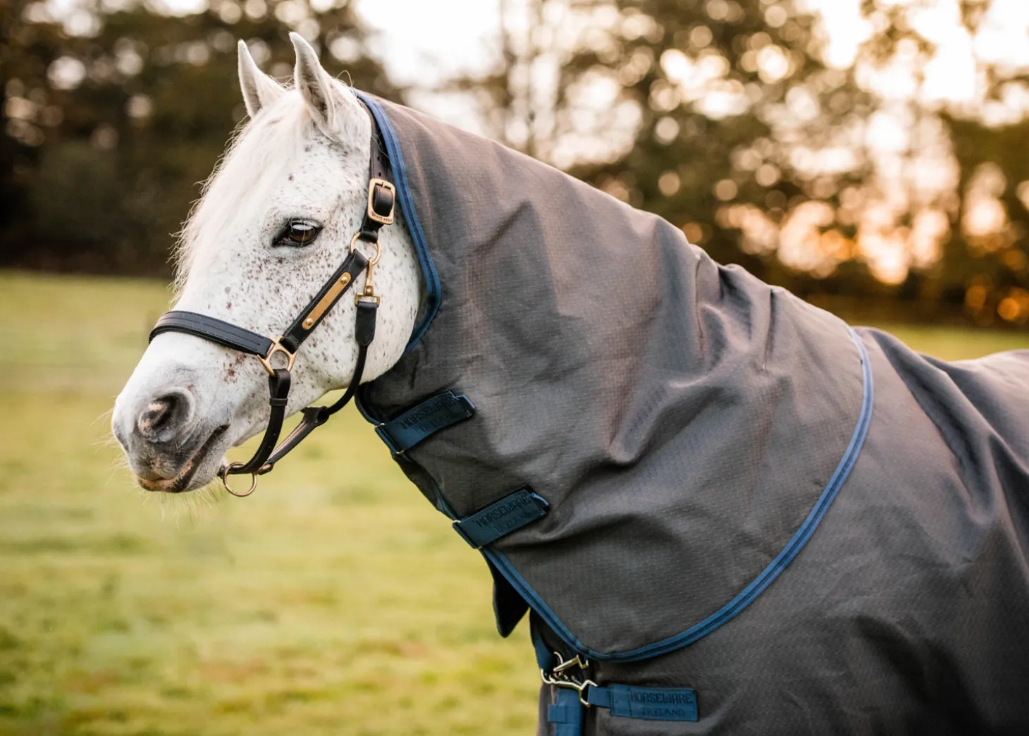 Horseware® Ireland Rhino® Plus HexStop Vari-Layer® 250 Gram Medium-Weight Turnout Blanket