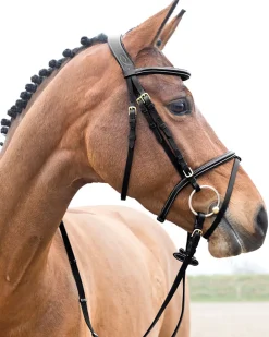 Horze Constance Padded Flash Snaffle Bridle