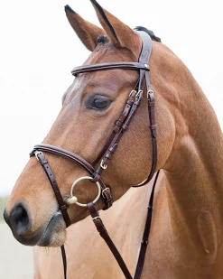 Horze Constance Padded Flash Snaffle Bridle