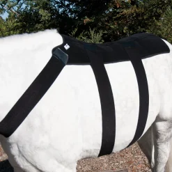 Ice Horse® Back Blanket
