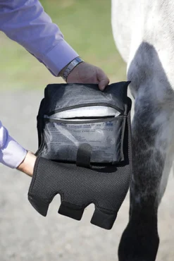 Ice Horse® Cold Capsule™ Inserts - 2 Pack