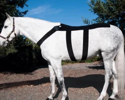 Ice Horse® Pony Back Blanket