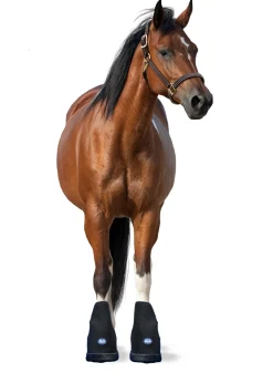 Ice Horse® Small Laminitis Pro Boot