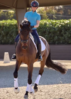 IconEQ™ Ladies’ Aurora Short Sleeve Shirt