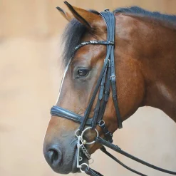 Ivonne Convertible Bridle