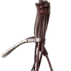 Kavalkade Florina Bridle