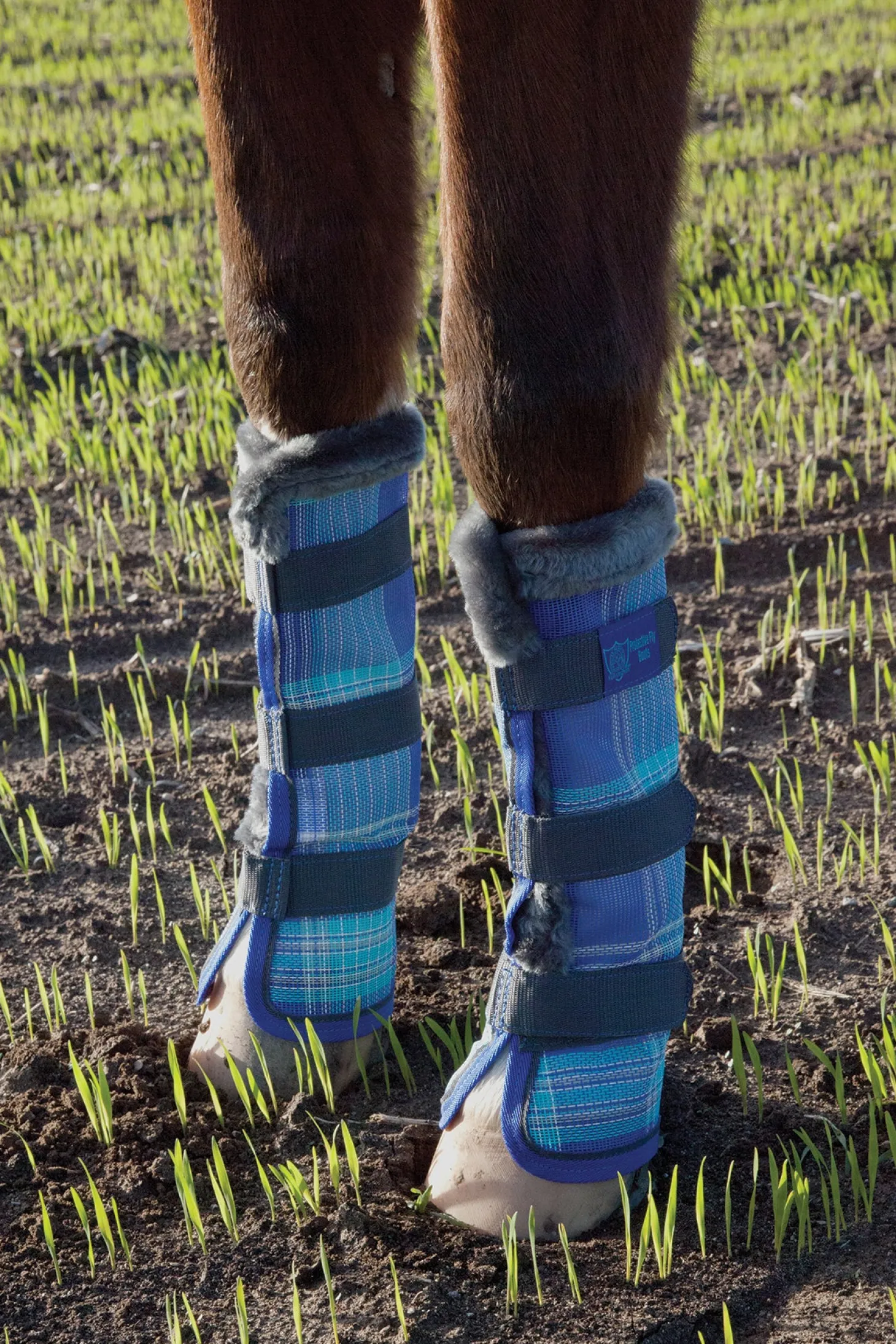 Kensington™ Fly Boots with Fleece Trim (Pair)