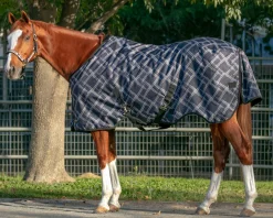 Kensington™ Pony Signature Medium Weight Turnout Blanket