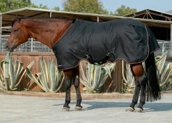 Kensington™ Pony Signature Heavyweight Turnout Blanket