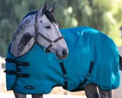 Kensington™ Pony Signature Heavyweight Turnout Blanket