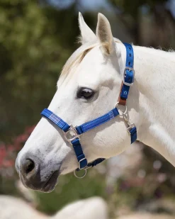 Kensington™ Premium Breakaway Halter