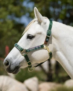 Kensington™ Premium Breakaway Halter
