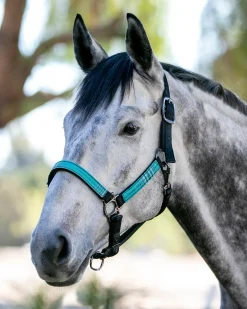 Kensington™ Premium Breakaway Halter