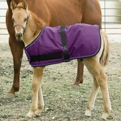 Kensington™ Signature Adjustable Large Foal Turnout
