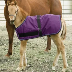 Kensington™ Signature Adjustable Small Foal Turnout Blanket