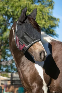 Kensington™ UViator CatchMask Protective Mask with Ears & Forelock Opening