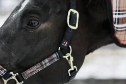 Kensington™ Premium Halter