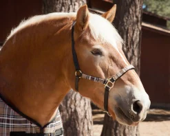 Kensington™ Premium Halter