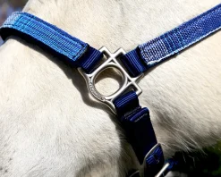 Kensington™ Premium Halter