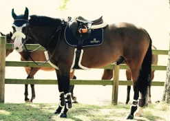 Kentucky Horsewear Vegan Sheepskin Stud Girth