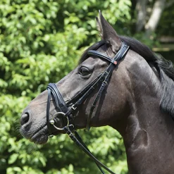 Kieffer Perseus Clincher Snaffle Bridle