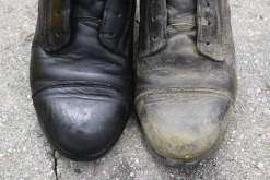 Leather Therapy® Restorer & Conditioner™