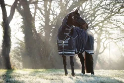 LeMieux® Arika Storm-Tek 350 Gram Turnout Blanket