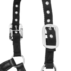 LeMieux® Capella Halter