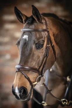 LeMieux® Kudos Competition Flash Bridle