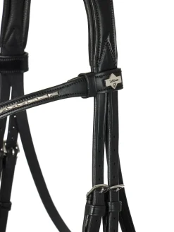 LeMieux® Kudos Dressage Flash Bridle