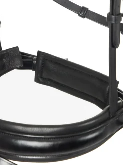 LeMieux® Kudos Dressage Flash Bridle