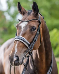 LeMieux® Kudos Patent Double Bridle
