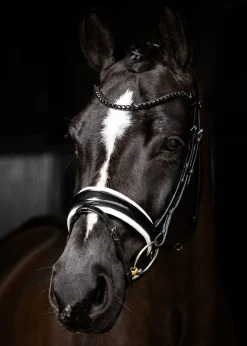 LeMieux® Kudos Patent Leather Dressage Bridle