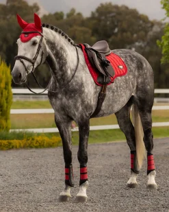 LEMIEUX® LOIRE GP SADDLE PAD