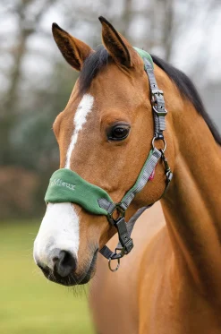 LeMieux® Vogue Halter & Rope Lead Set