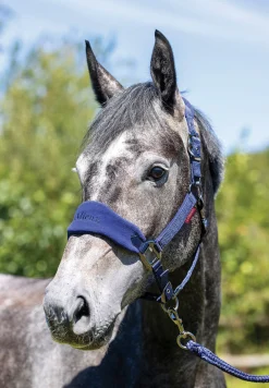 LeMieux® Vogue Halter & Rope Lead Set