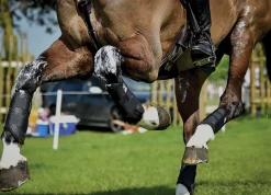 Majyk Equipe® XC Elite Hind Boot with Arti-Lage™ Technology