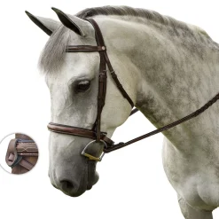 Marcel Toulouse Platinum Liza Hunter Derby Bridle