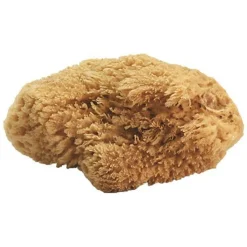 Natural Sea Sponges