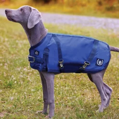 NorthWind™ Dog Turnout Blanket