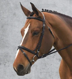 Ovation® Comfort Crown Dressage Bridle