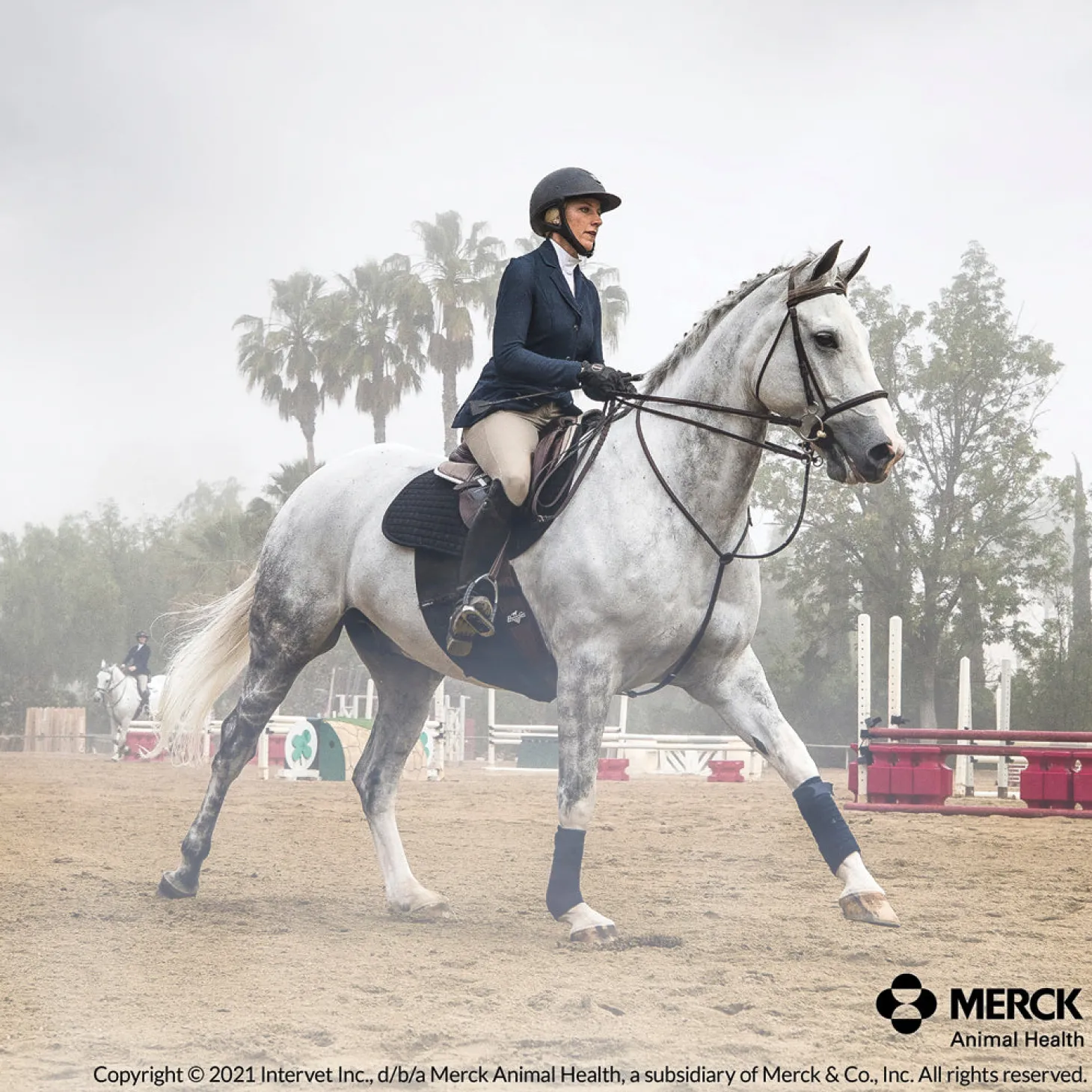 Panacur Paste Dewormer