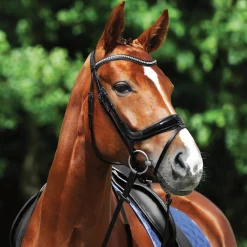Passier® Starlight Snaffle Bridle