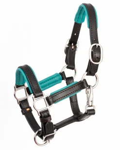 Perri’s® 3/4" Padded Leather Mini Halter