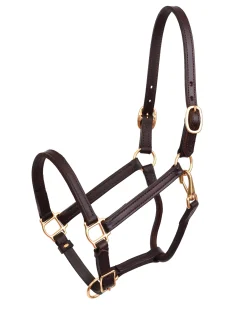 Perri’s® 3/4" Premium Leather Show Halter