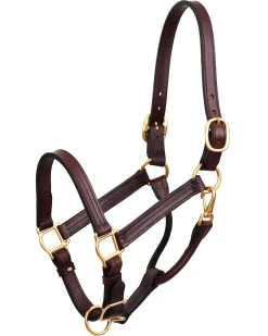 Perri’s® Horse Professional Show Halter