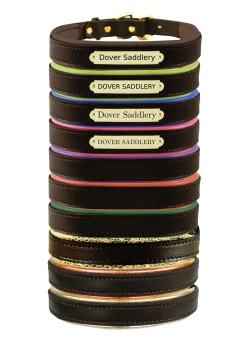 Perri’s® Padded Leather Nameplate Dog Collar