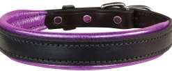 Perri’s® Padded Leather Nameplate Dog Collar