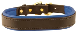 Perri’s® Padded Leather Nameplate Dog Collar